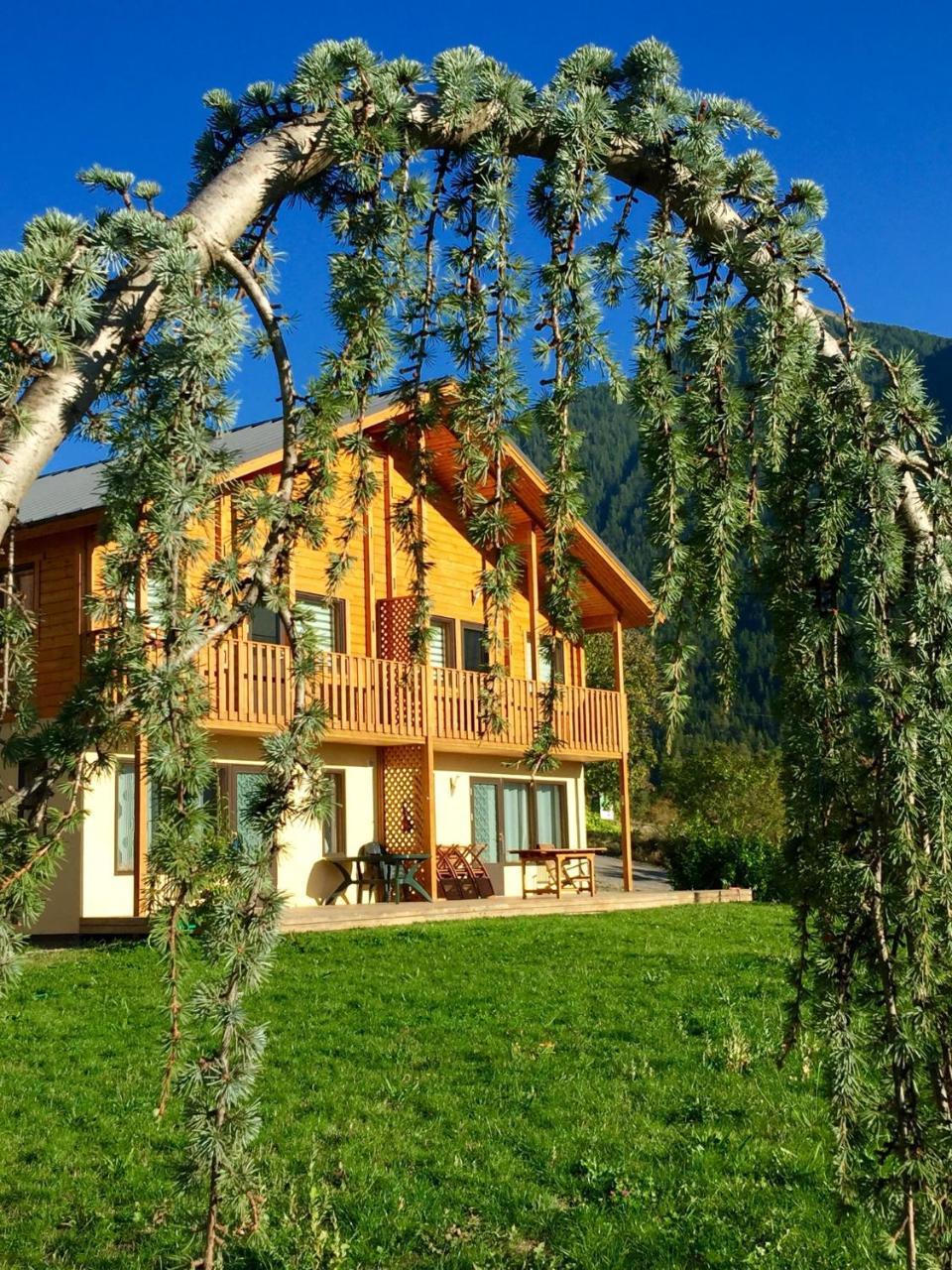 Les Chalets Fleurs De France - Kota Saint-Dalmas Kültér fotó
