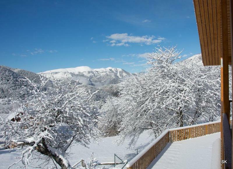 Les Chalets Fleurs De France - Kota Saint-Dalmas Kültér fotó